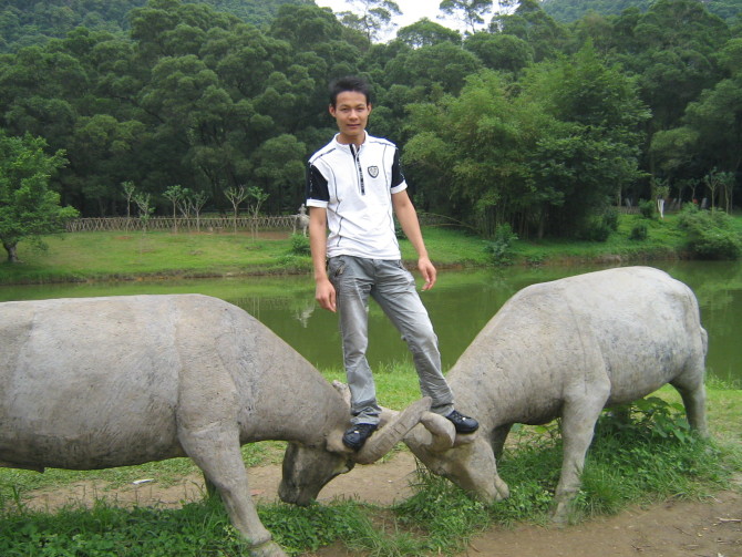 龙哥资料照片_广西柳州征婚交友_珍爱网